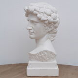 David head in waxed white plaster