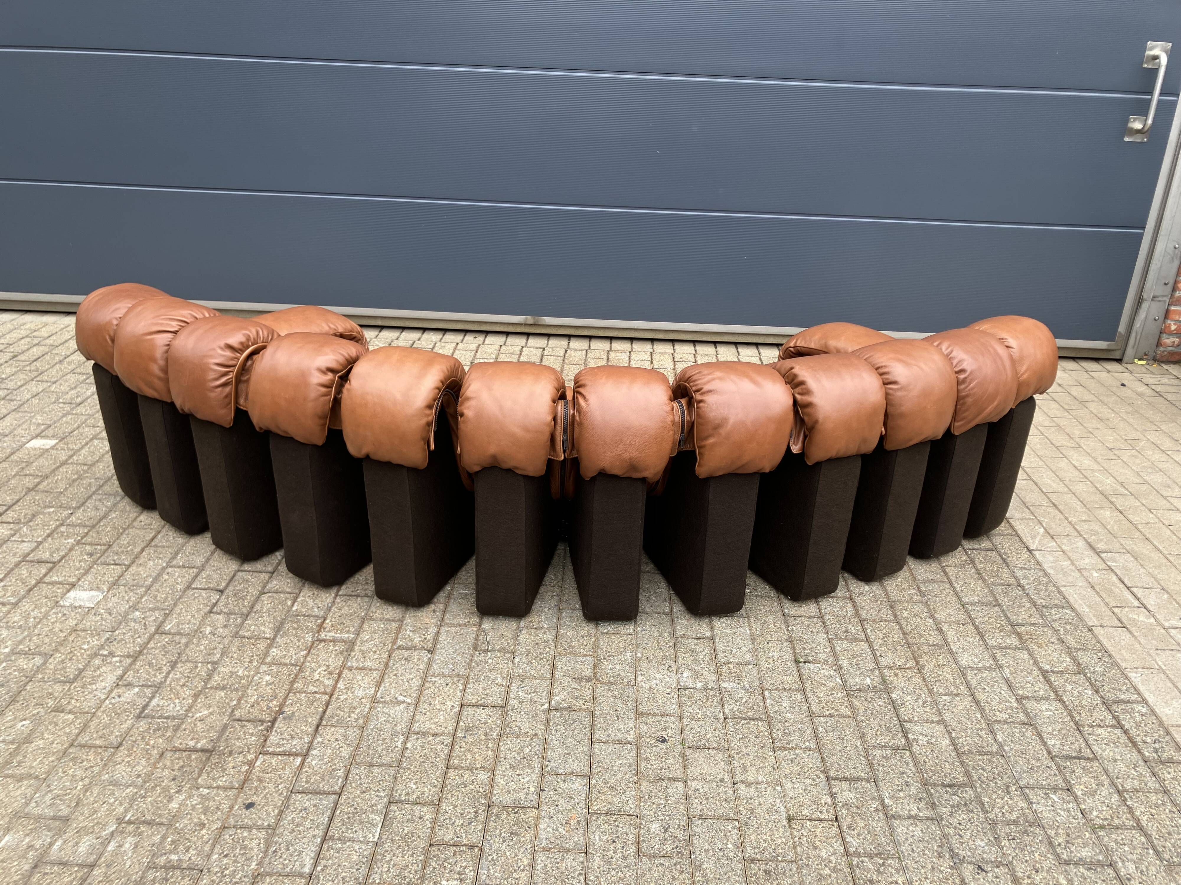 De Sede Ds600 Snake Tatzelwurm, 12 elements. New!