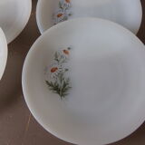 Lot de 6 assiettes à dessert Arcopal motif "marguerites"