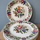 Set of 6 flat plates in Sarreguemines earthenware, Rusticana model