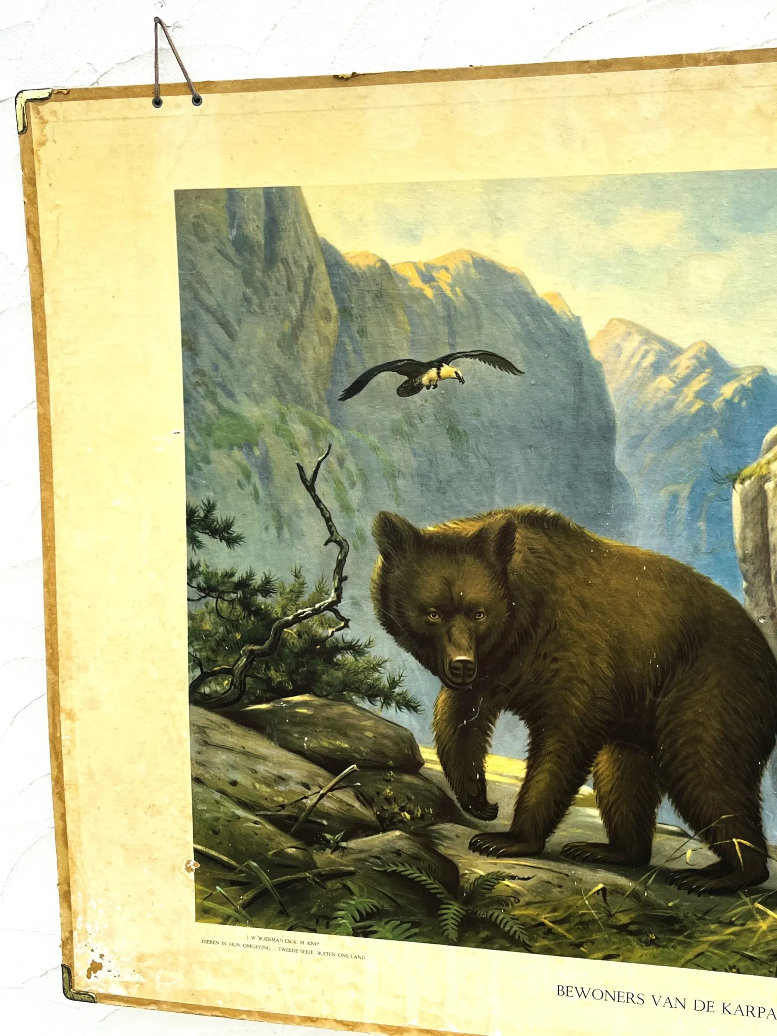 School poster J.B. Wolters