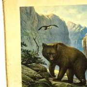School poster J.B. Wolters