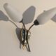 Pair of sconces opaline and brass 50s