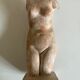 Bust of Aphrodite in the bath after Praxitèle in terracotta 1984