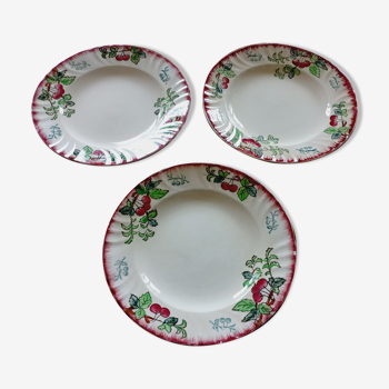 3 assiettes Longwy modèle Montmorency