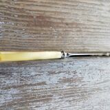 Set of horn handle knives