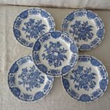 5 flat plates Ridgway Staffordshire Windsor blue bird flower