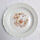 Limoges porcelain plate