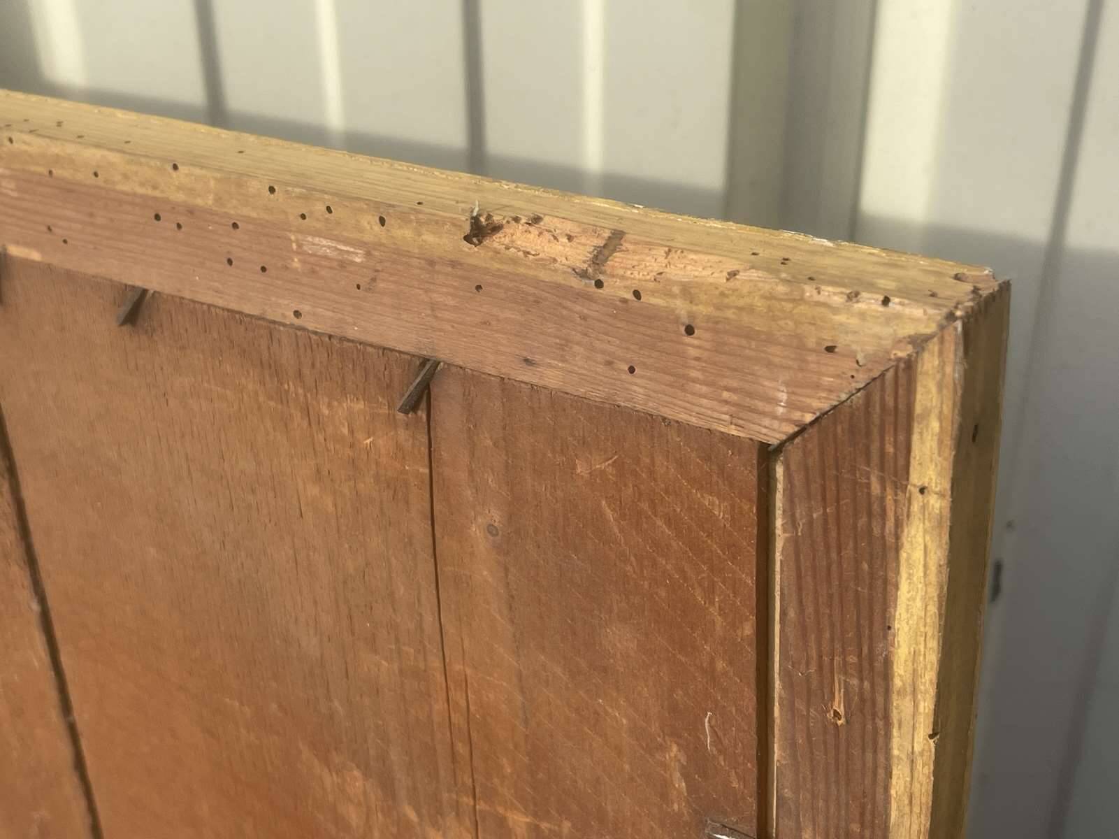 Still life from the early 20th century, oil on cardboard signed Lance