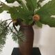Vase-pichet artisanal en grès. formes irrégulières