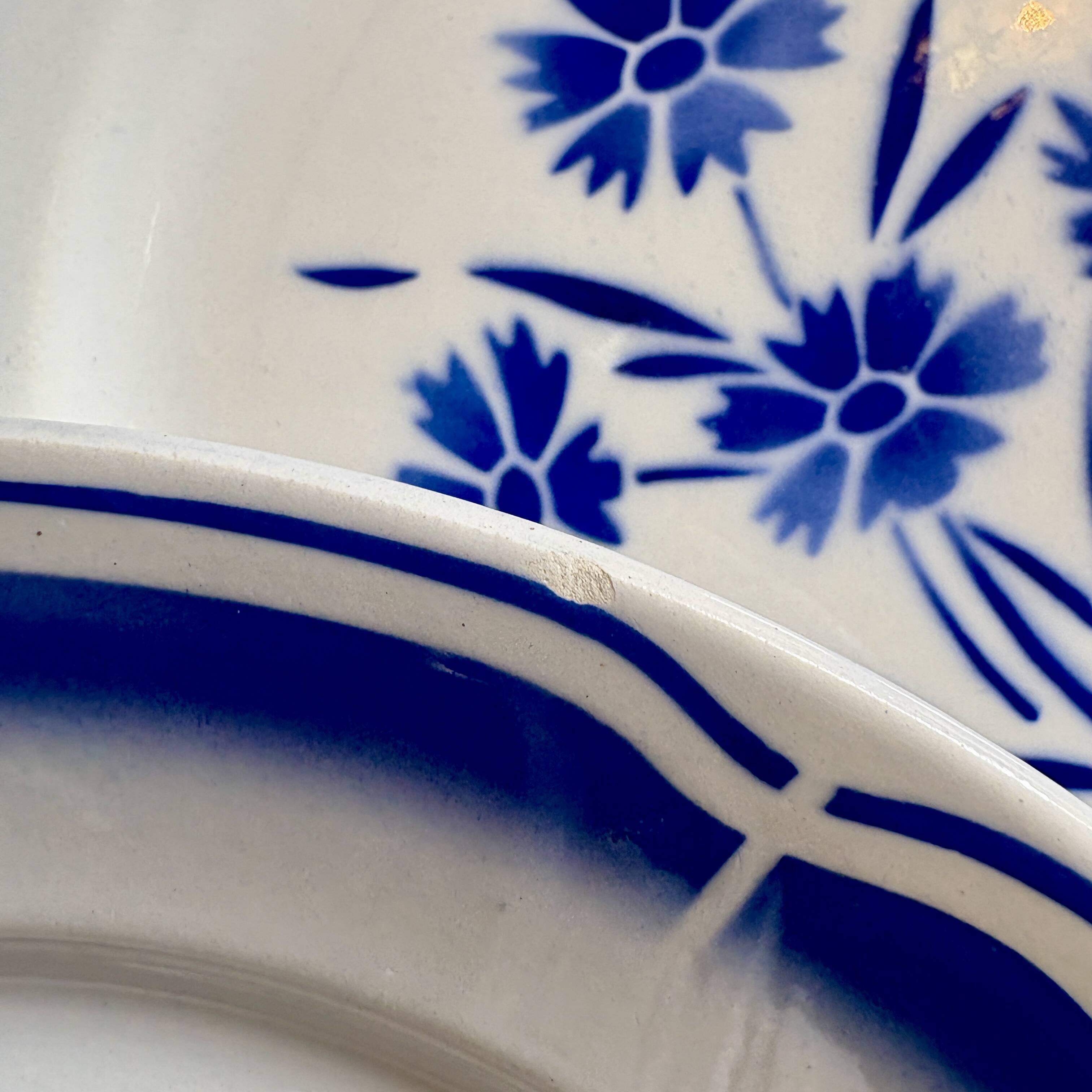 Set of 12 antique flat plates, blue flower decorations