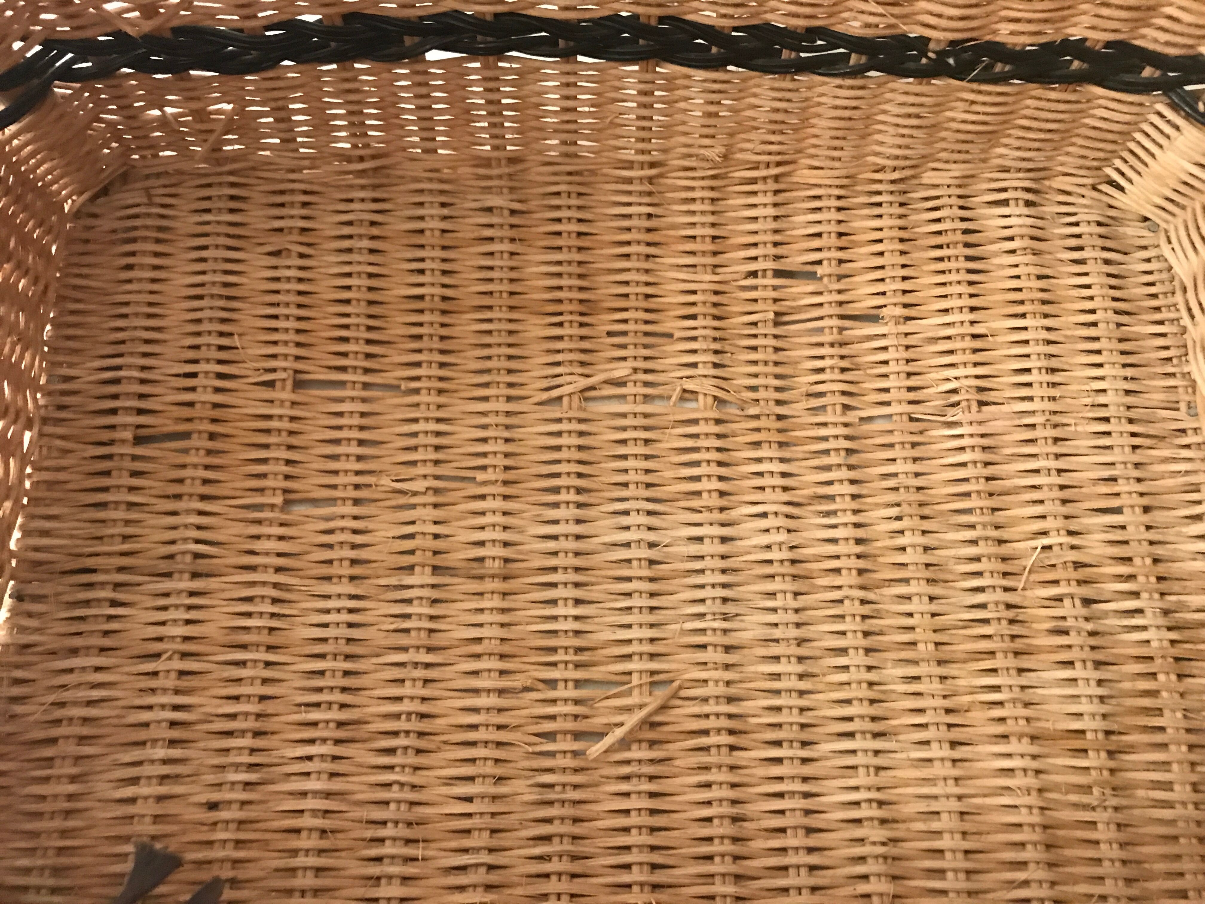 Rattan wicker case