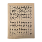 Lithograph engraving on hats from 1897