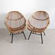 Set of 2 Rattan Bucket Loungechairs 1960s