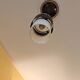 suspension Lunel