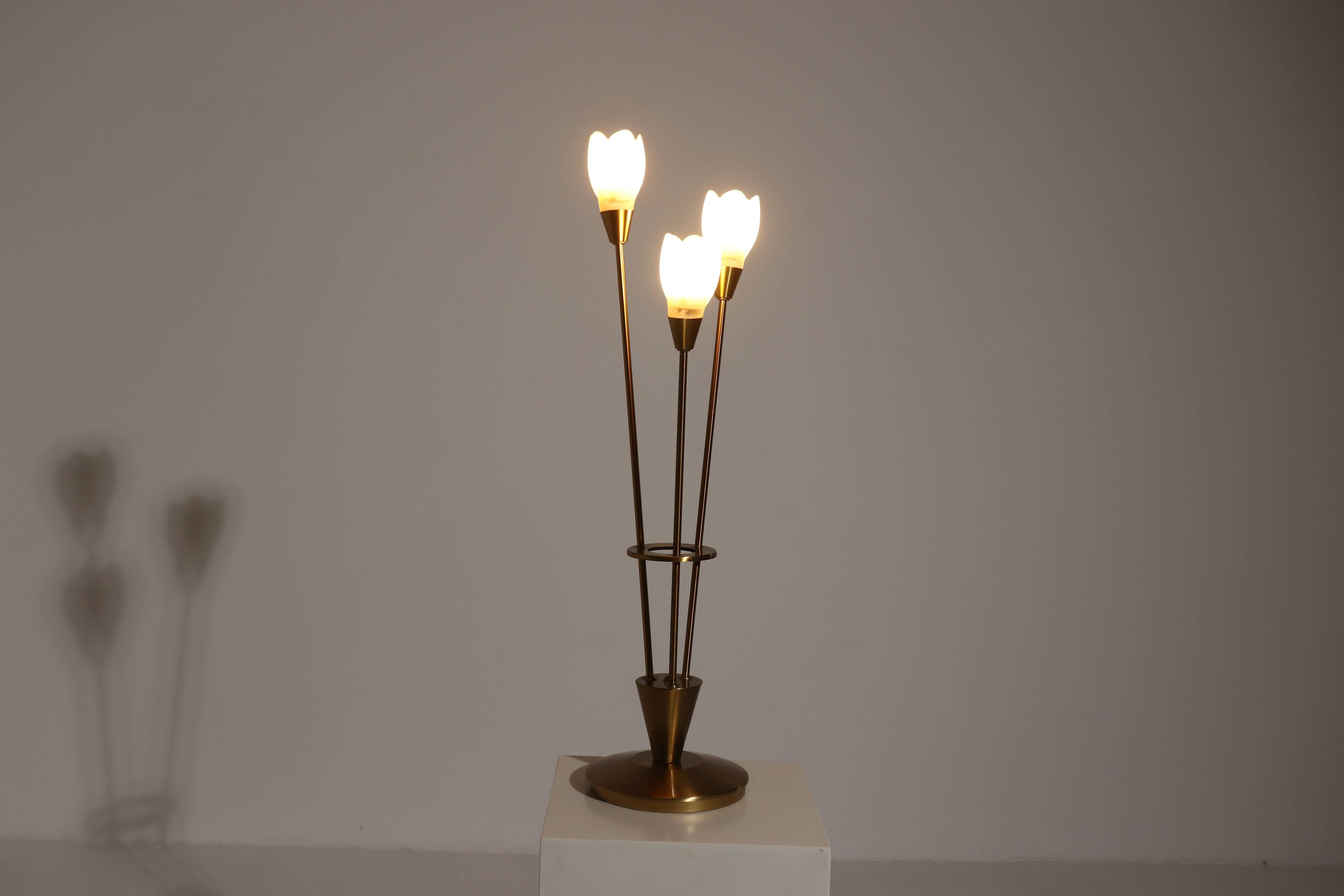 Brushed Brass and Glass Table Lamp Germany 1970s