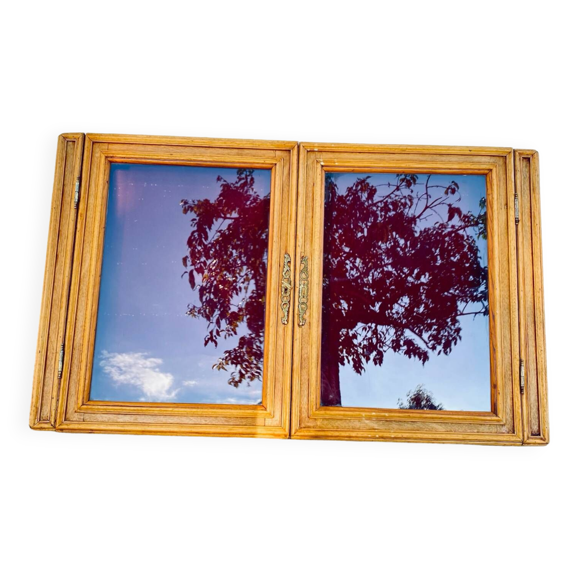 Wooden wall display cabinet with glass door