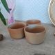 Three ramekins in glazed sandstone - vintage