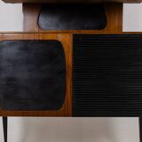 Paire de cabinets italiens en placage de teck. Années 1960.