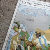 Vintage school map mdi North America-Asia Wildlife