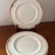 Large fine porcelain plates Royal Doulton Darjeeling