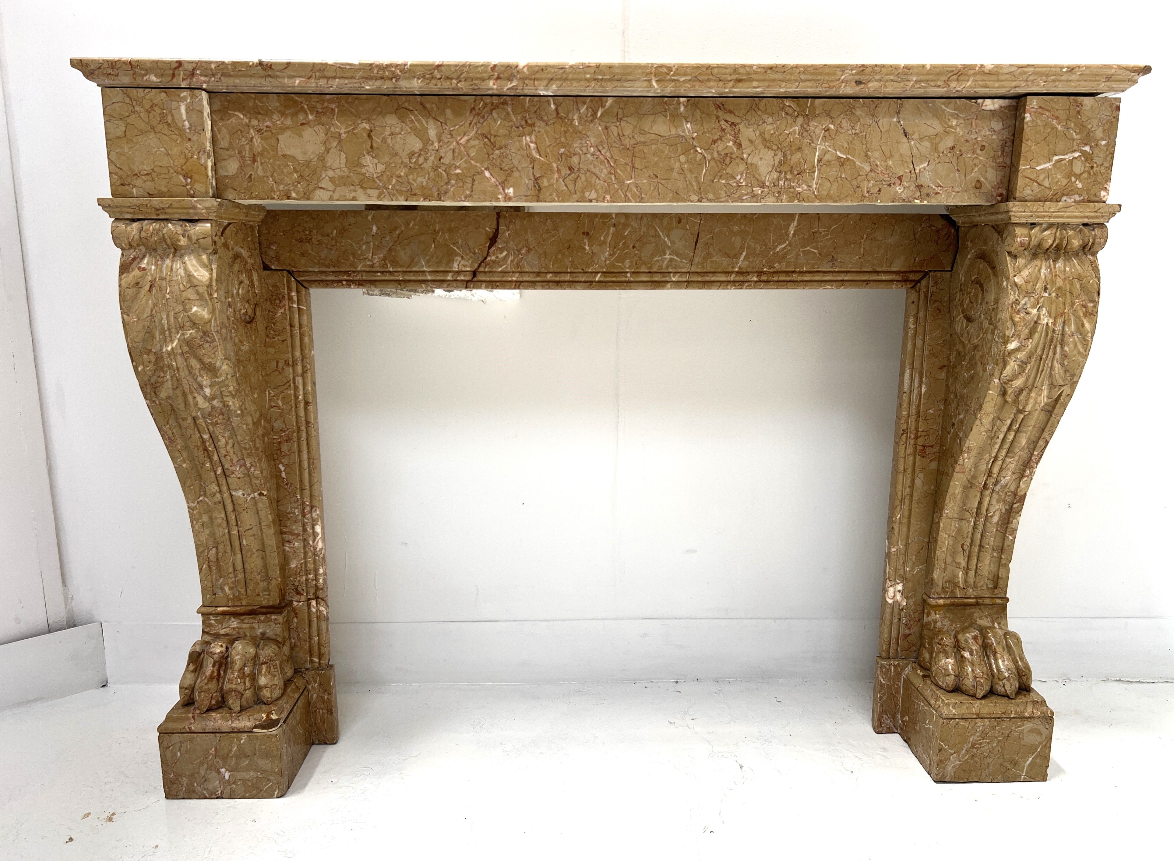Napoleon III fireplace with claw feet in speckled marble, 19th century.
