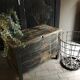 Old patinated wooden chest early 20th century