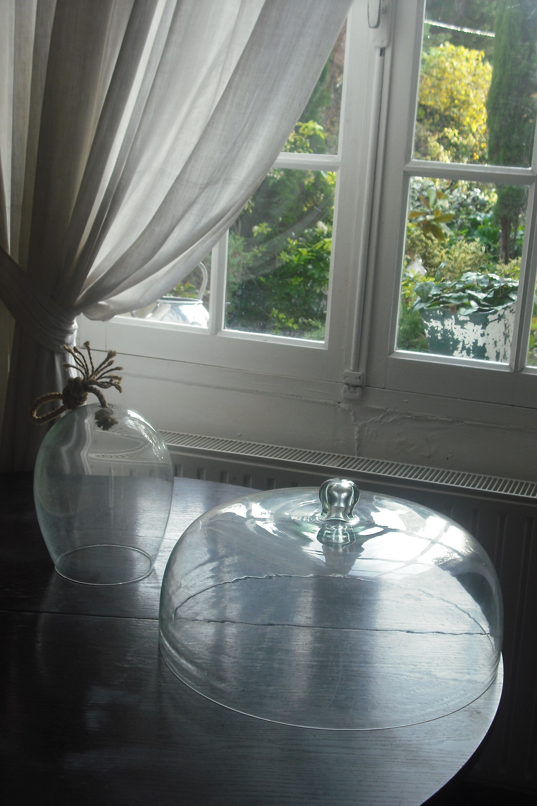 Cloche en verre 41x21cm