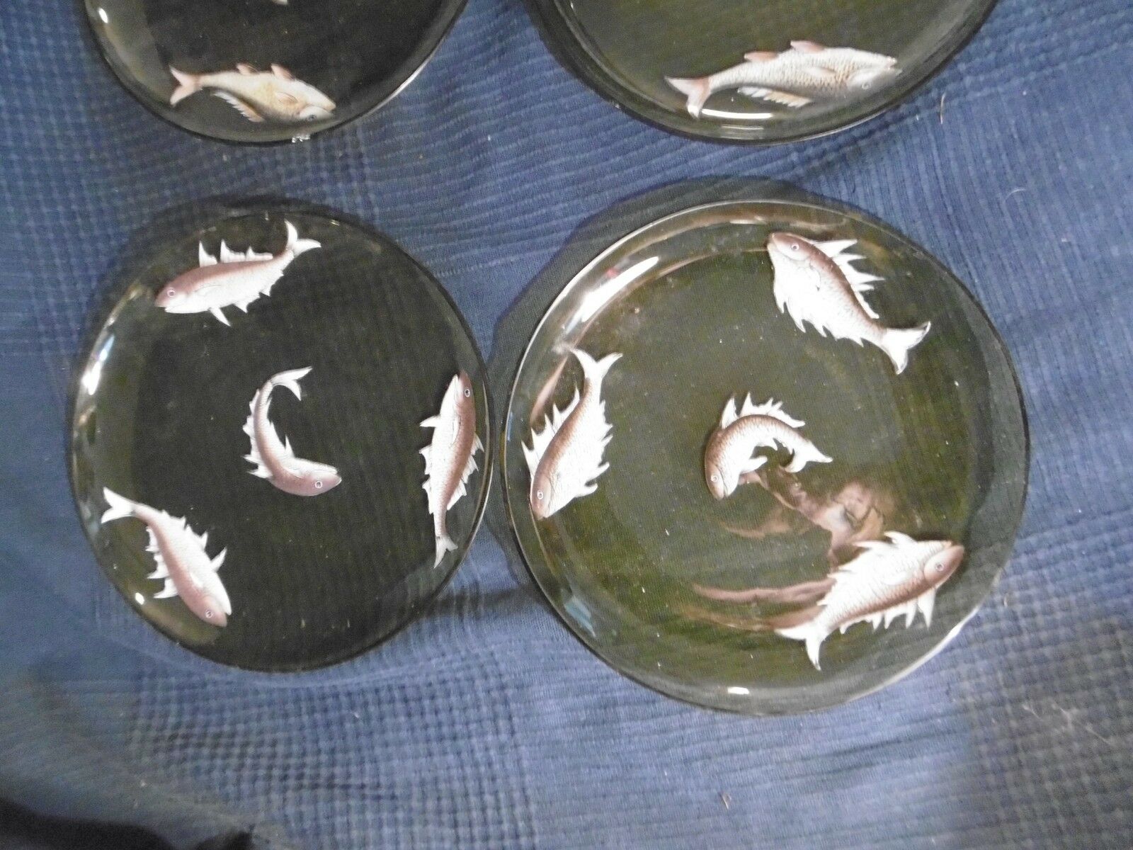 Set of 5 old plate in e emaille glass or hand-painted old fish decoration