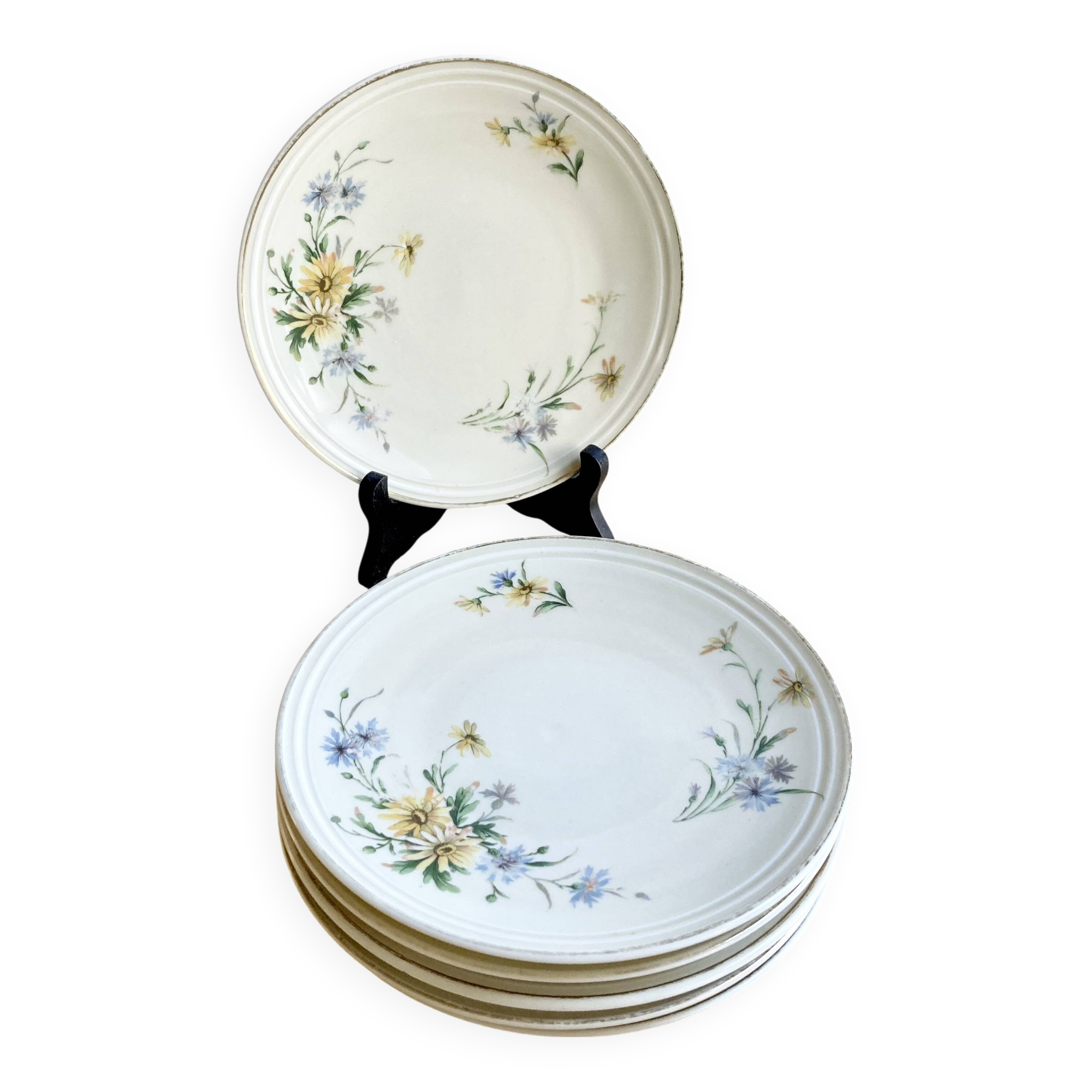 6 Limoges porcelain dessert plates 1915