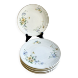 6 Limoges porcelain dessert plates 1915