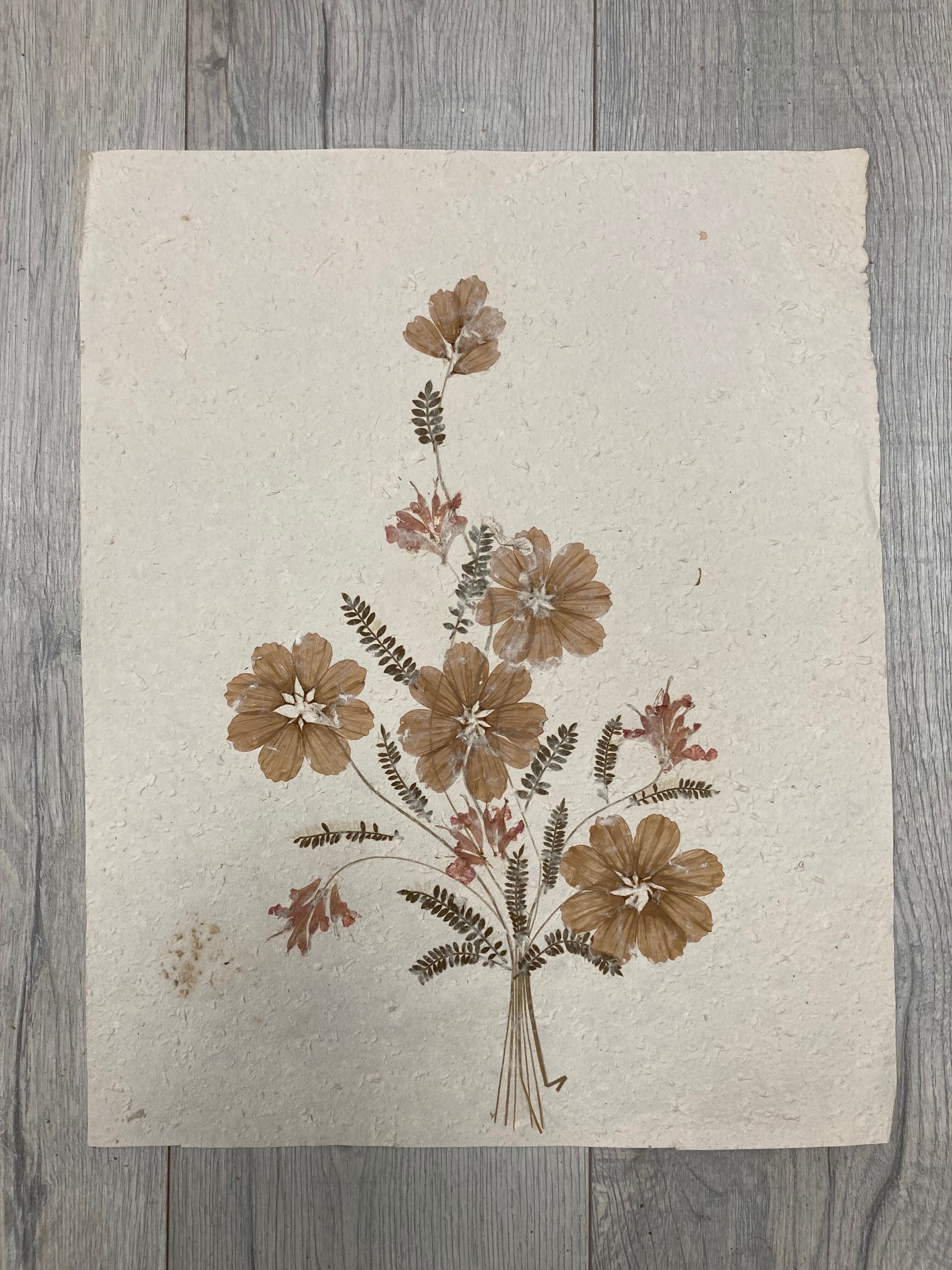 Planche fleurs séchées