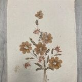 Planche fleurs séchées