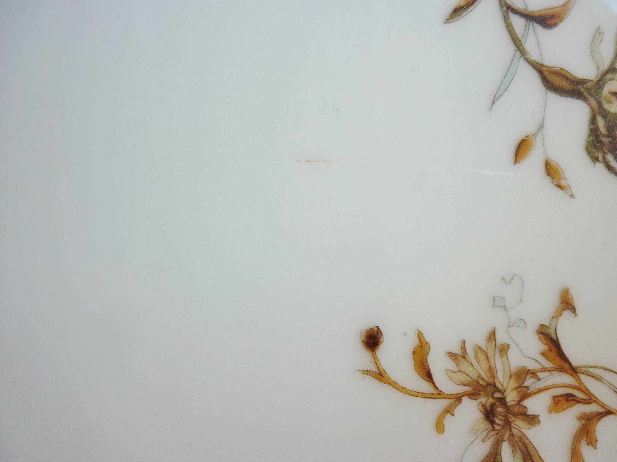 Long fish and meat dish, 19th century, Haviland Limoges porcelain, 66cm