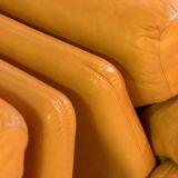 1970 Vintage Coronado Brown Leather Armchairs by Tobia Scarpa for C&B Italia