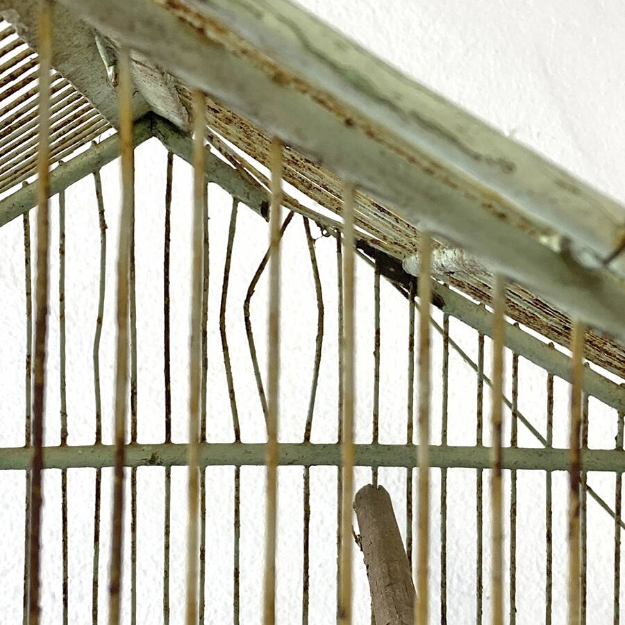 Cage à oiseaux