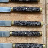 Set de 10 couteaux Pradel Laguîole