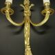Large pair of wall lights, eagle heads, Louis XVI style from Hettier Vincent - gilded bronze