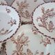 11 Gien plates in the Cactus pattern from around 1900.