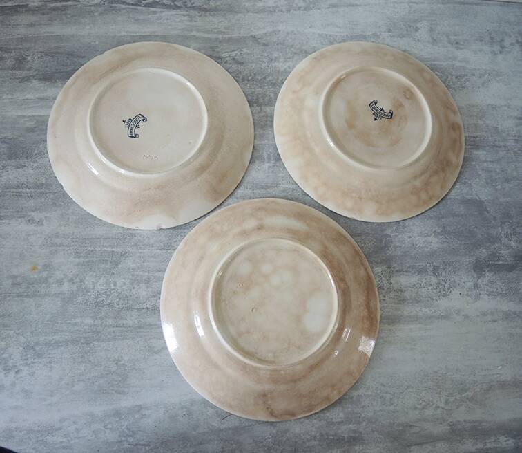 3 old flat plates in iron earth longchamp : blackberries
