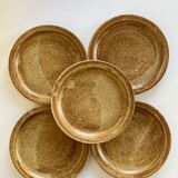 5 stoneware dessert plates