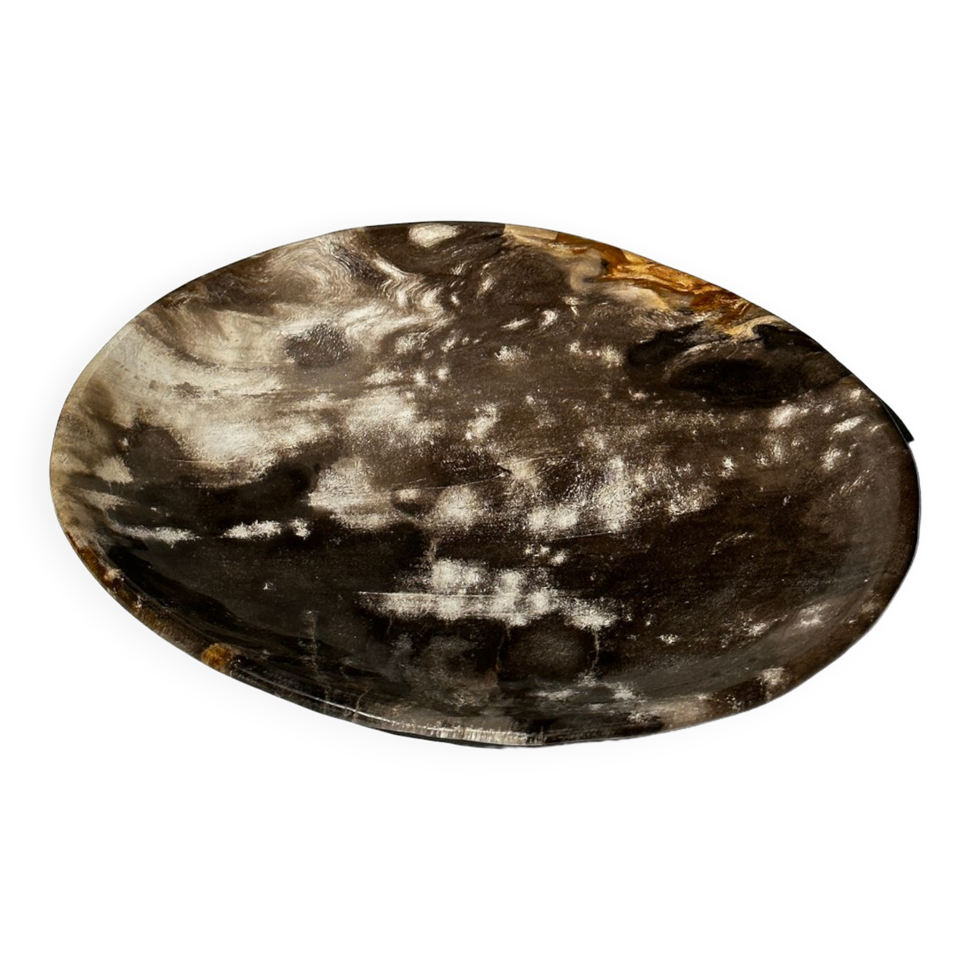 Dish in petrified wood