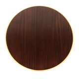 Scandinavian mahogany coffee table, Bodafors, Sweden,