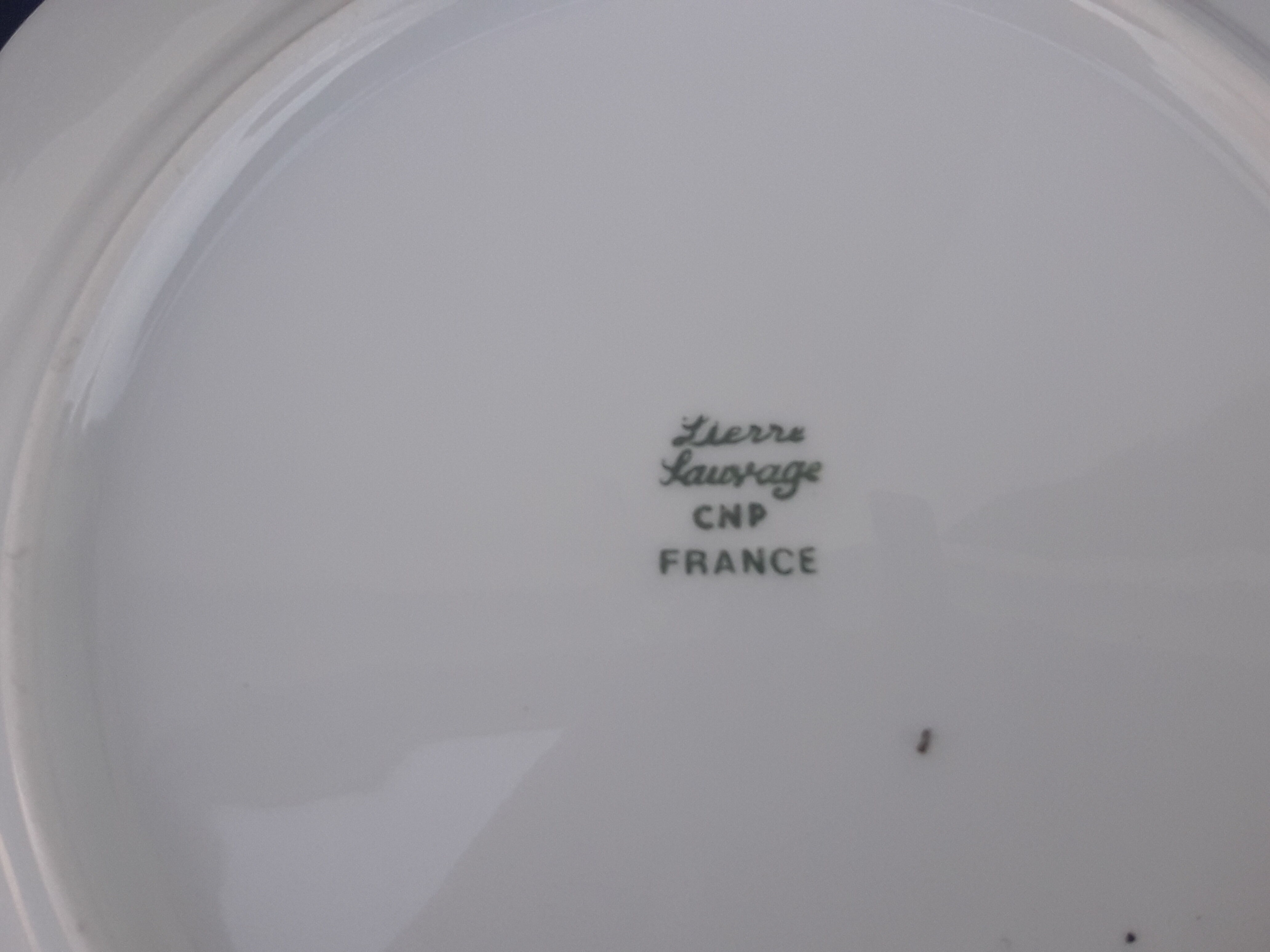 5 CNP wild ivy dessert plates diam 20.5 cm