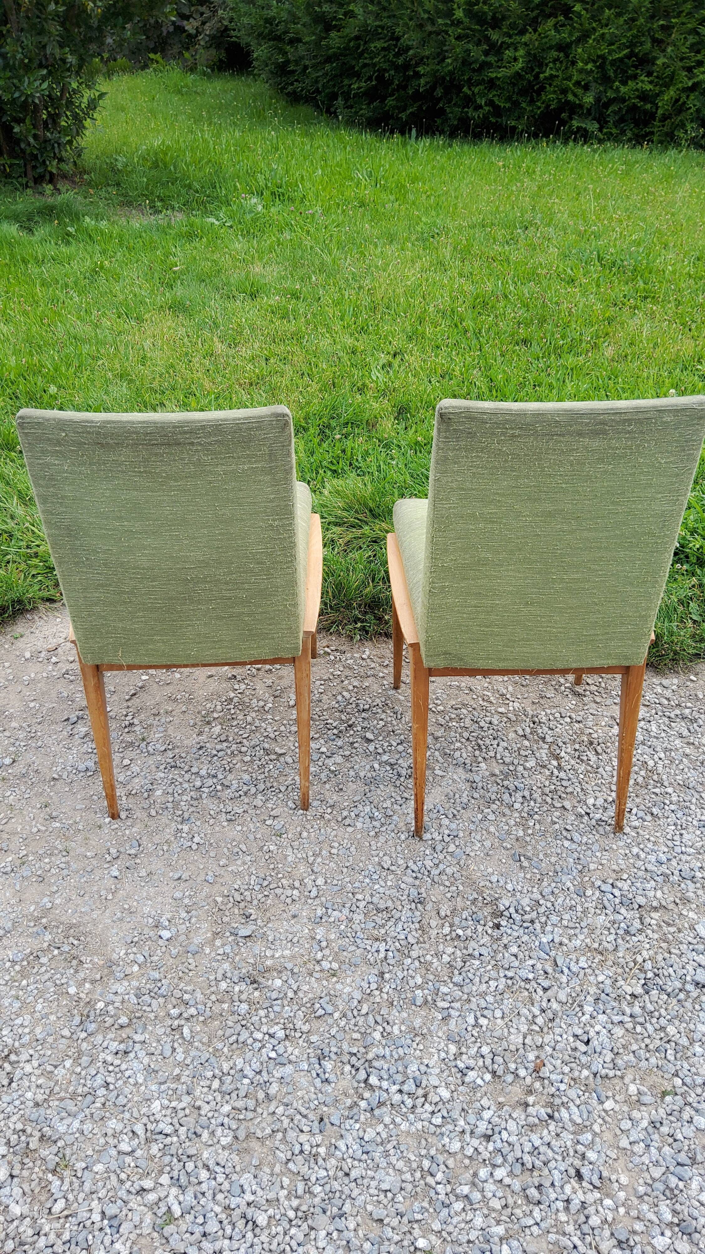 Pair of chairs from the 50s in sycamore tinted beech