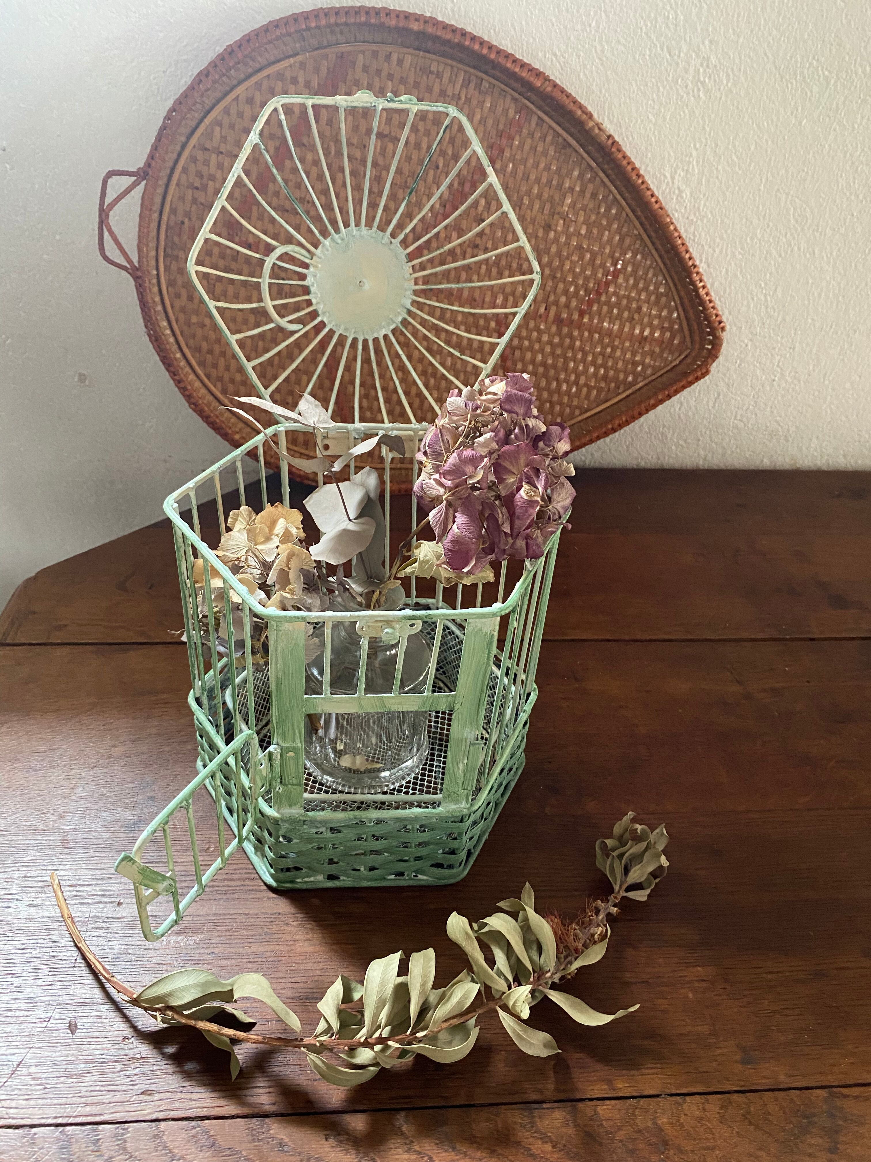 Decorative iron cage