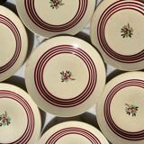 7 gien plates