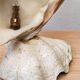 Clam shell lamp