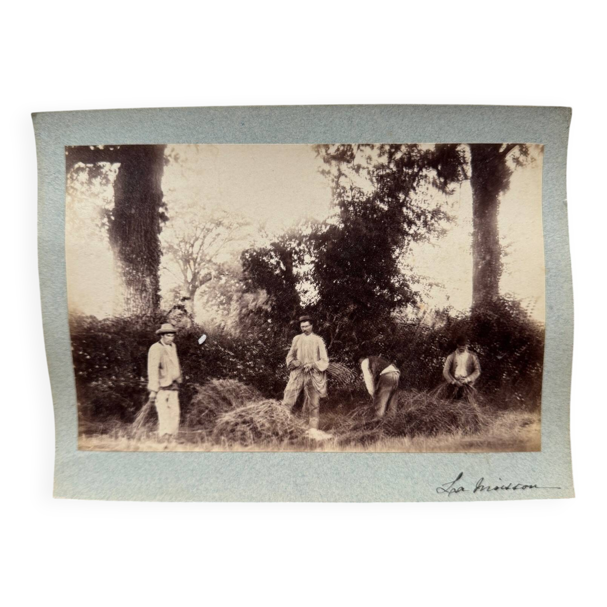 Photo albumine contrecollée sur carton représentant des moissonneurs