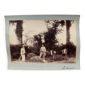 Photo albumine contrecollée sur carton représentant des moissonneurs